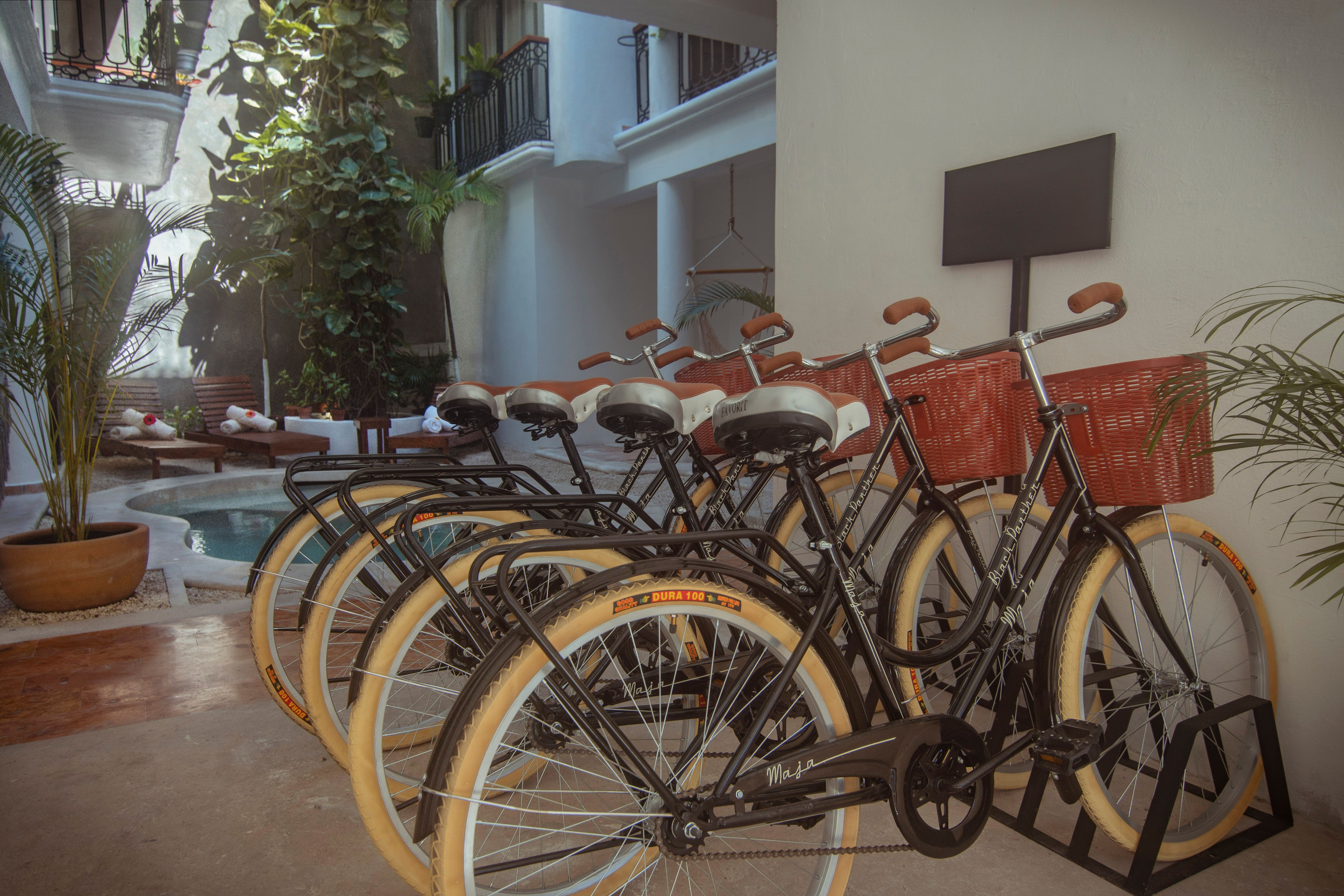 Bicicletas